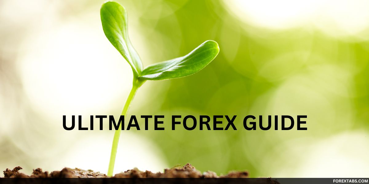 A growing plant to represent an ultimate guide to the Essentials of Beginning Forex